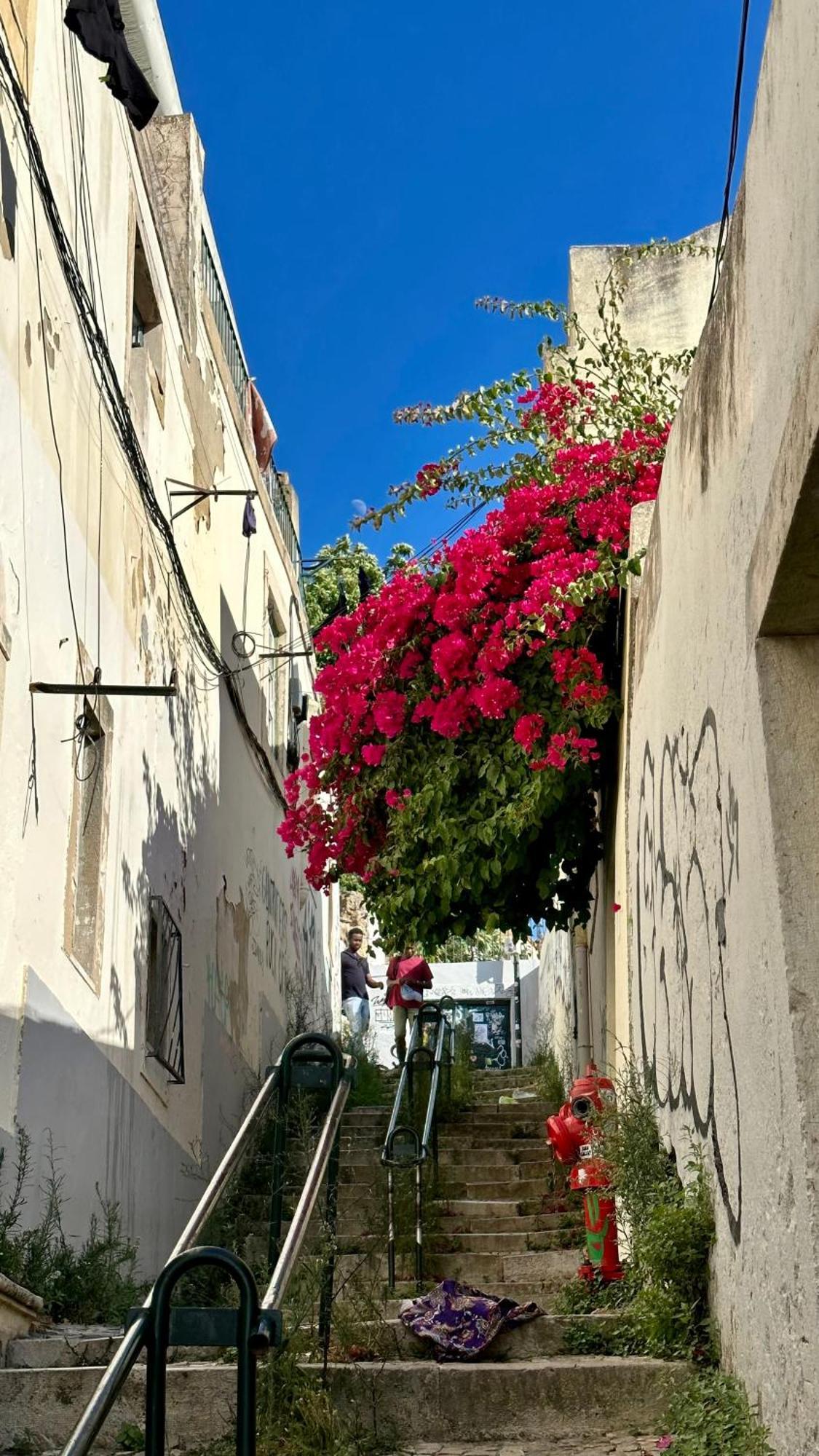 Castle Suites Lisboa Εξωτερικό φωτογραφία